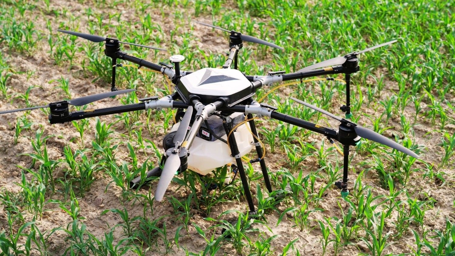 Autonomous Drone Inspection System Provider A Complete Guide for Beginners